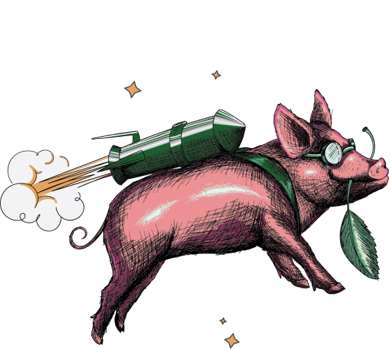 Illustration of a flying pig with a rocket on its back