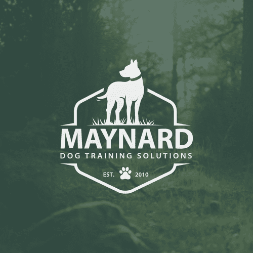 Logo & site Squarespace com o título 'Maynard Dog Training Solutions'